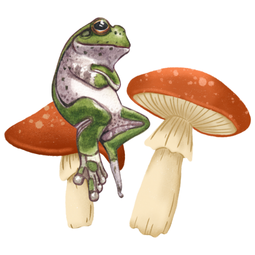 The Whimsical Store